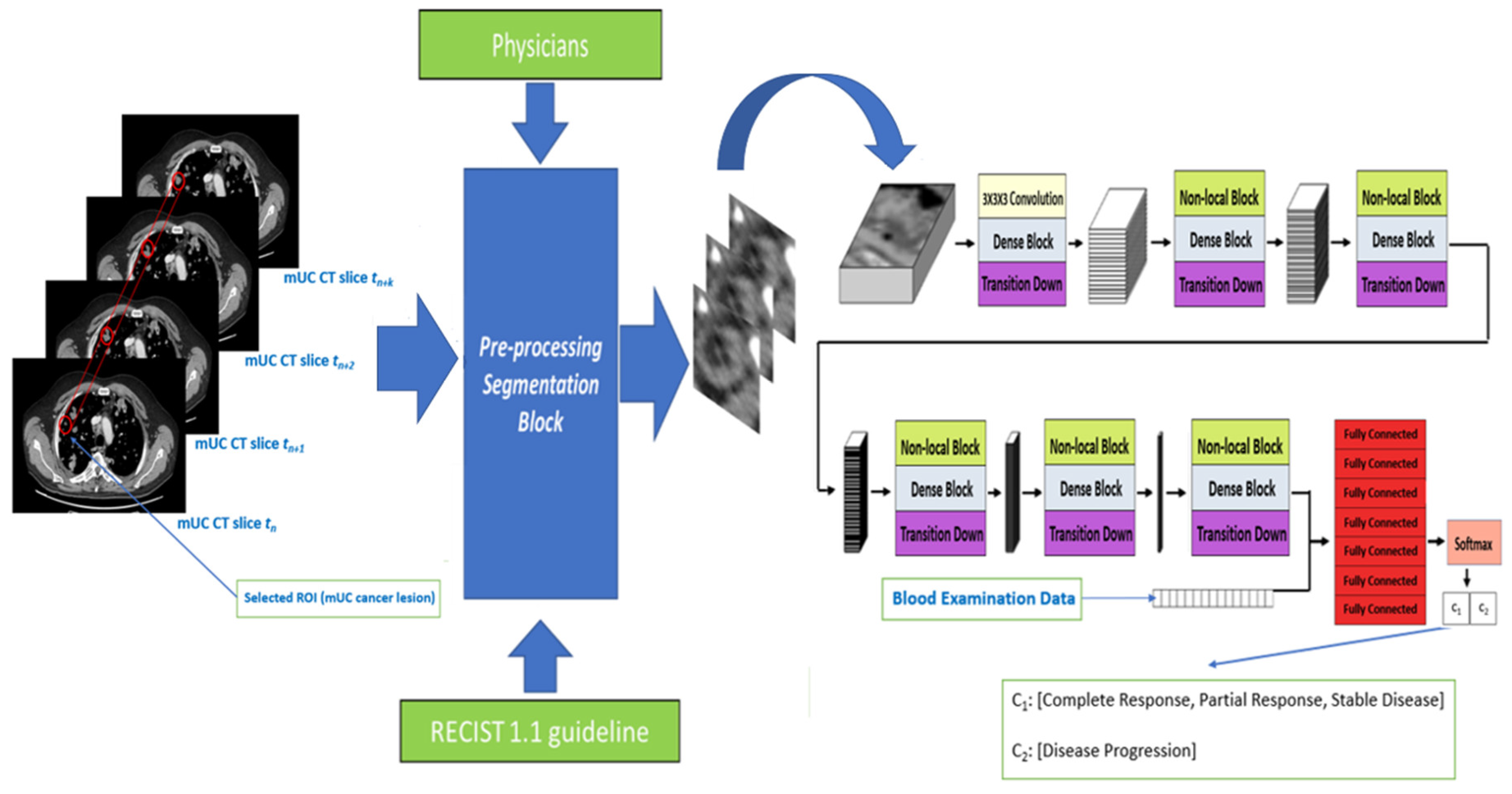 Non-local neural network for immunotherapy treatment outcome prediction